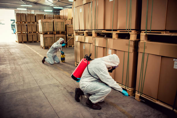 Best Pest Control Near Me  in Sun City, AZ