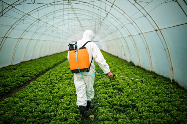Best Pest Control Treatment  in Sun City, AZ