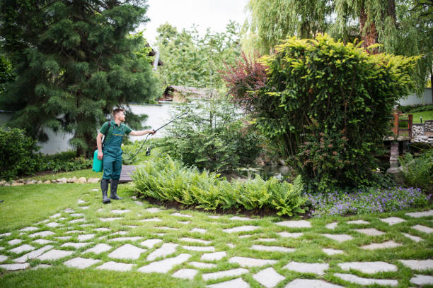 Best Wildlife Control Services  in Sun City, AZ