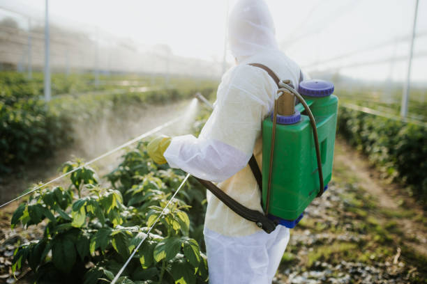 Sun City, AZ Pest Control Company